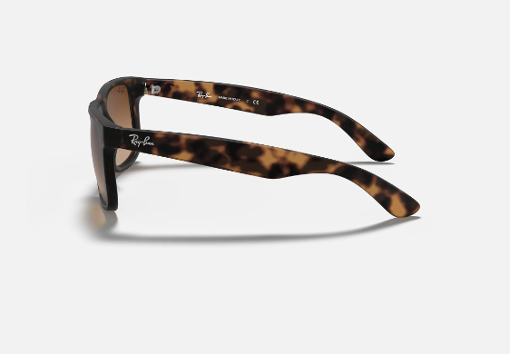 Ray Ban Justin Sunglasses