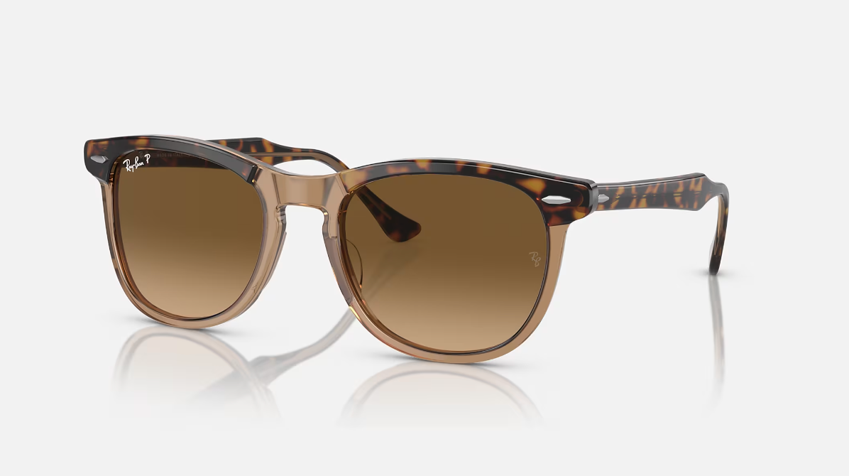 Ray Ban Eagleeye Havana Sunglasses