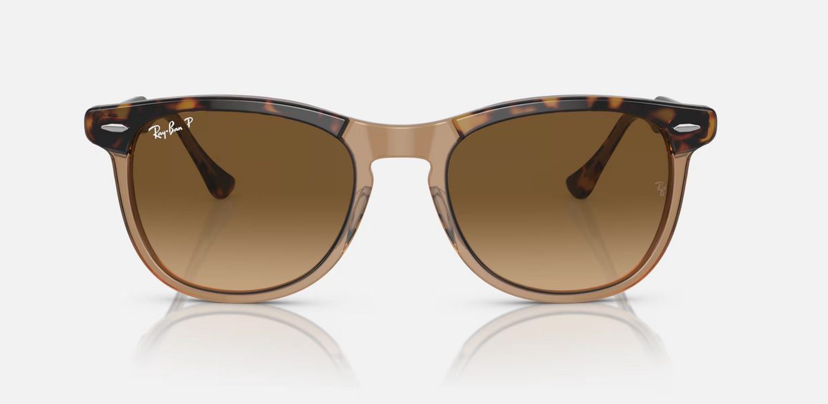 Ray Ban Eagleeye Havana Sunglasses