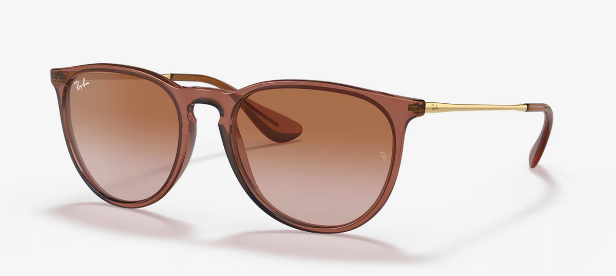 Ray Ban Erika Classic